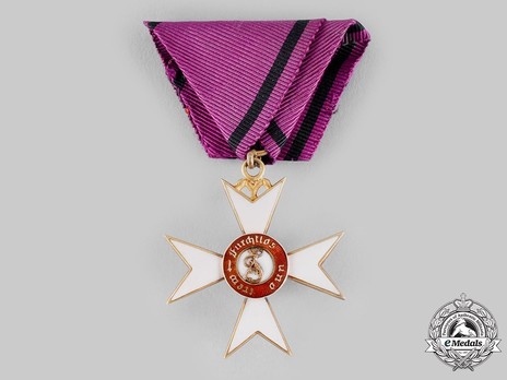 Order of the Württemberg Crown, Civil Division, Knight's Cross (in gold) Obverse