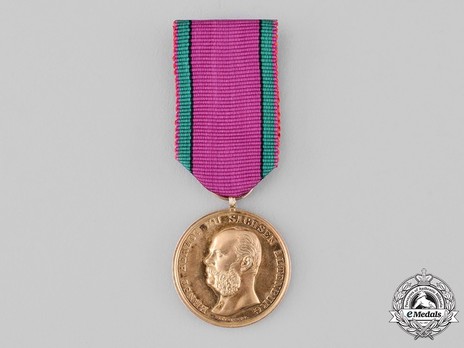 Saxe-Altenburg House Order Medals of Merit, Type III, Civil Division, in Gold Obverse
