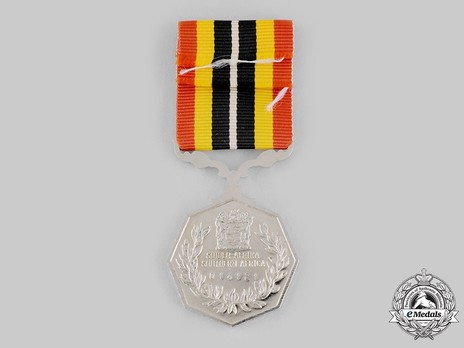 Southern Africa Medal (uniface suspender)