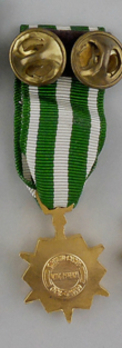 Miniature Vietnam Campaign Medal Reverse