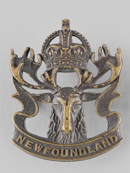 Royal Newfoundland Regiment Other Ranks Collar Badge Obverse