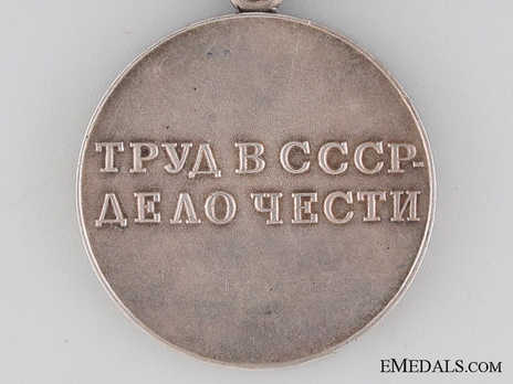 Medal for Valiant Labour Variation II Medal Close Reverse 