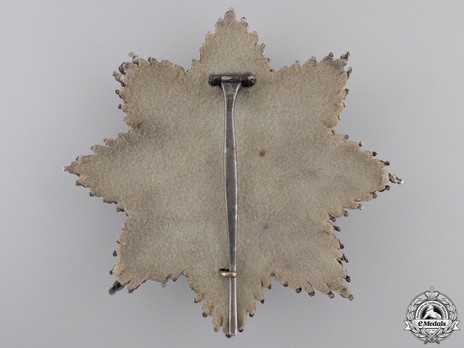 Order of St. Hubert, Grand Cross Breast Star (unmarked) Reverse
