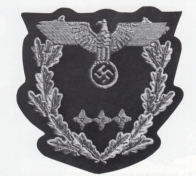 Diplomatic Corps Pay Group B3a Career Group Sleeve Insignia Obverse