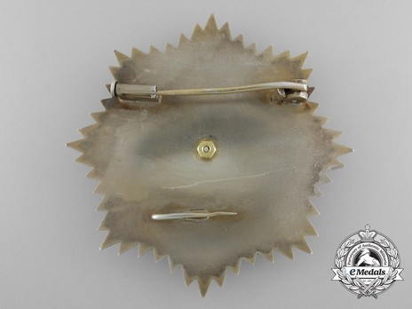 Grand Cross Breast Star (1957-1974) (Silver gilt) Reverse
