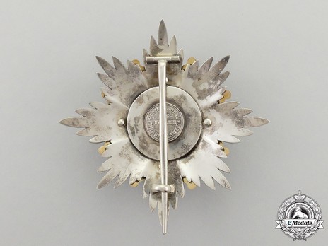 Dukely Order of Henry the Lion, Grand Cross Breast Star (in silver gilt) Reverse