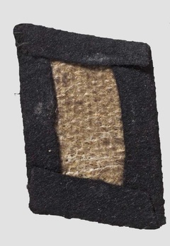 SS-TV Regiment Collar Tabs Reverse