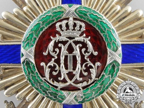 The Order of the Star of Romania, Type I, Military Division, Grand Cross Reverse Detail