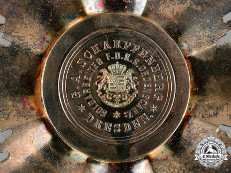 Albert Order, Type II, Civil Division, Grand Cross Breast Star (in silver gilt) Detail