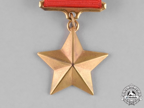 Type I, Star Medal in Gold (in bronze gilt)
