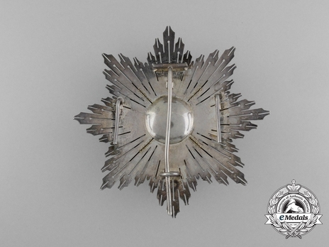 2nd Class Breast Star (white distincion pension) (with Fleur de Lys and Royal Crown) (PROFESORADO) Reverse