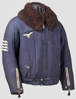 Luftwaffe Winter Flight Jacket Obverse