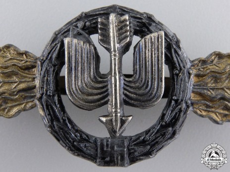 Long-Range Night Fighter Clasp, in Gold Detail