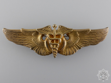 Basic Wings (with gold) Obverse 