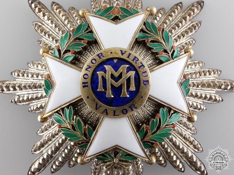Order of Military Merit, II Class Breast Star (for Other Service) Obverse Detail