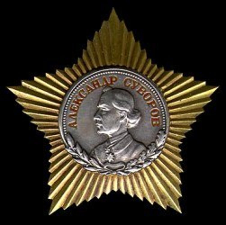 Order of suvorov medal 2nd class
