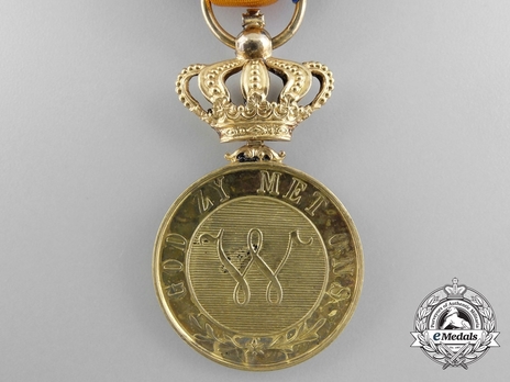 Order of Orange-Nassau, Civil Division, Gold Medal 