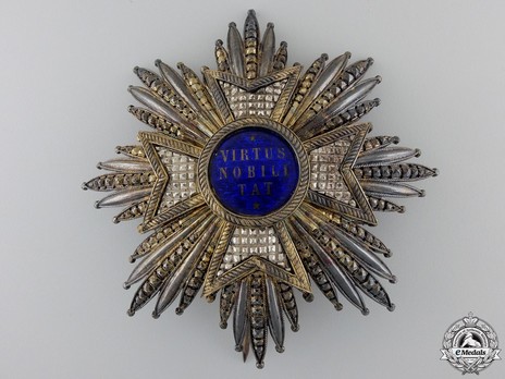 Grand Cross Breast Star (Silver gilt by Fayolle) Obverse