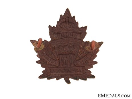 161st Infantry Battalion Other Ranks Cap Badge Reverse