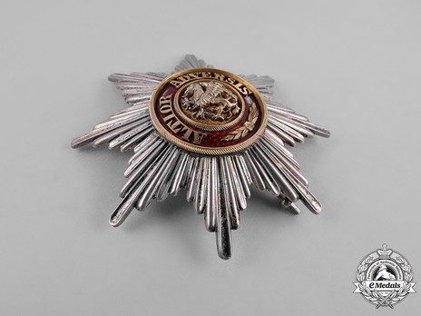 Order of the Griffin, Civil Division, Grand Cross Breast Star Obverse