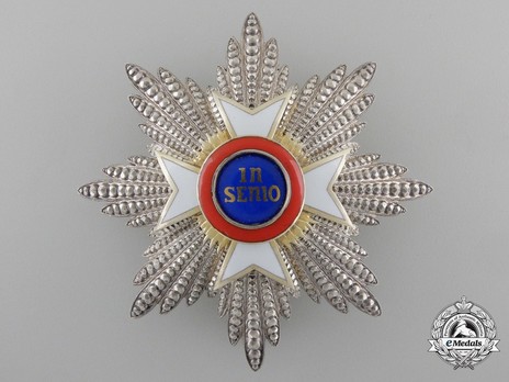 House Order of the Golden Flame, Breast Star (in silver) Obverse