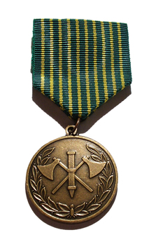 National Service Medal (Home Guard) Obverse