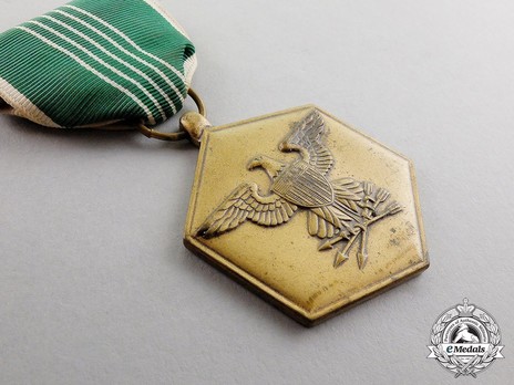 Army Commendation Medal 