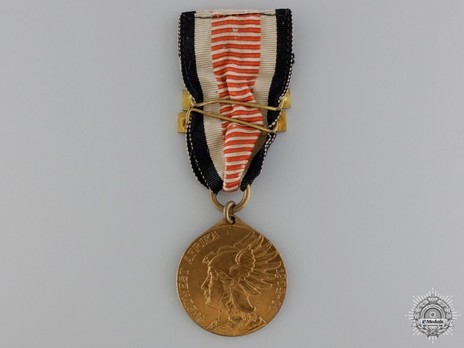 South Africa Campaign Medal, for Combatants (in bronze gilt) with two clasps Obverse