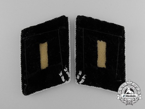 Allgemeine SS Post-1942 Oberführer Collar Tabs Reverse
