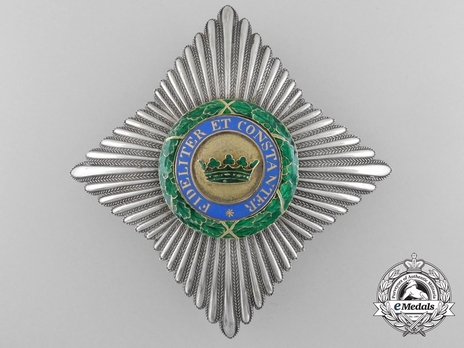 House Order of Saxe-Ernestine, Type II, Civil Division, I Class Commander Breast Star Obverse
