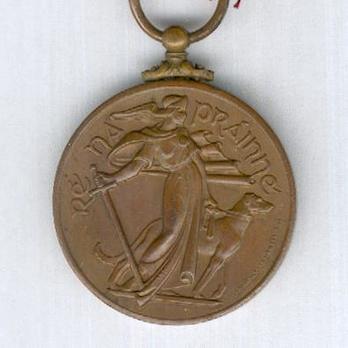 Emergency Service Medal in Bronze (Local Security Force) Obverse