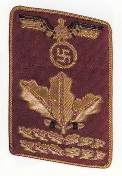 NSDAP Haupt-Dienstleiter Type IV Reich Level Collar Tabs Obverse