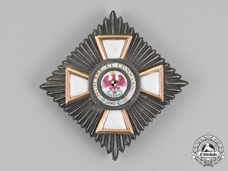Order of the Red Eagle, Civil Division, Type V, II Class Breast Star (in gold) Obverse