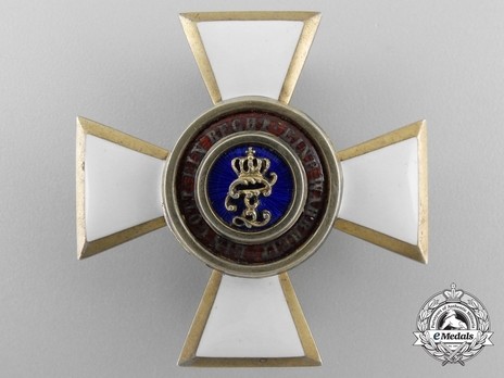 House Order of Duke Peter Friedrich Ludwig, Civil Division, Officer Obverse