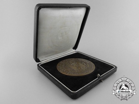Medal for Special Cultural Achievements Case of Issue Obverse