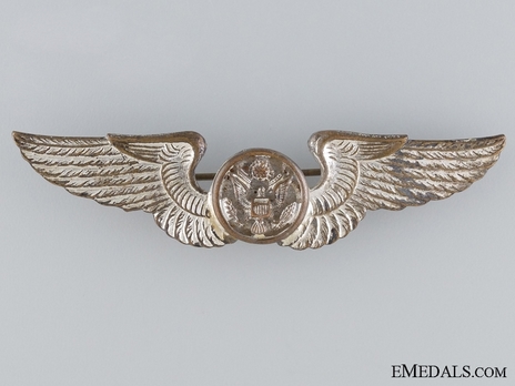 Basic Wings (with silvered bronze) Obverse