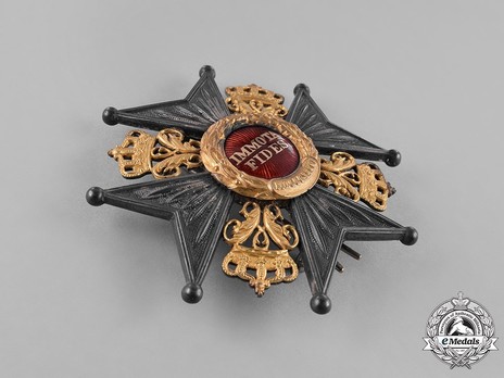 Dukely Order of Henry the Lion, Commander Cross Breast Star Obverse