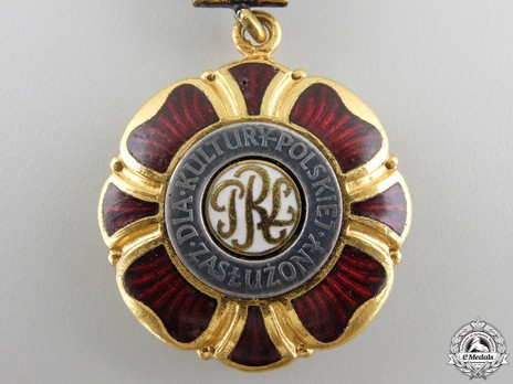 Decoration for Merit to Polish Culture Obverse