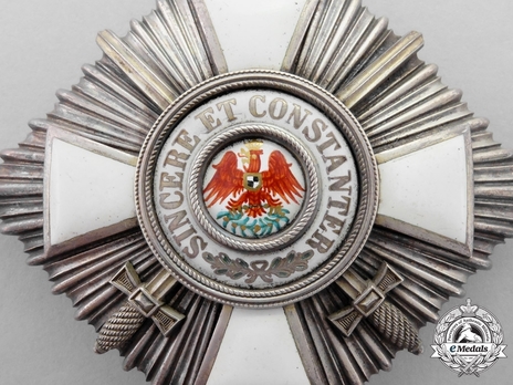 Order of the Red Eagle, Type V, Military Division, II Class Breast Star (in silver gilt) Obverse