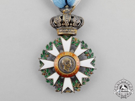 Merit Order of the Bavarian Crown, Knight's Cross (in silver gilt) Obverse