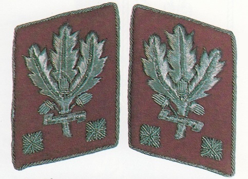 SA Obergruppenführer Collar Tabs (1944-1945 version) Obverse