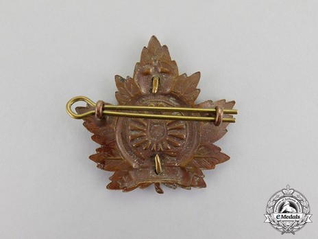 3rd Battalion Railway Troops Officers Cap Badge Reverse