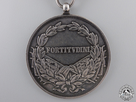 Type IX, I Class Silver Medal (with second award clasp) Reverse