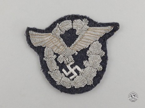 Pilot Badge, in Cloth (in bullion) Obverse