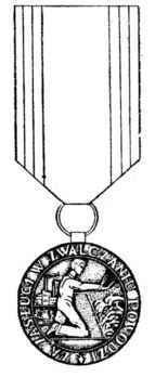 Decoration for Merit in Fighting Floods, II Class (1984-2001) Obverse