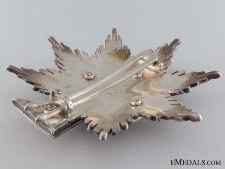 Order of Dannebrog, Grand Cross Breast Star (Silver/Gold) Reverse