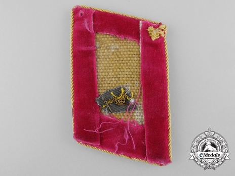 NSDAP Reichsleiter Type IV Reich Level Collar Tabs Reverse