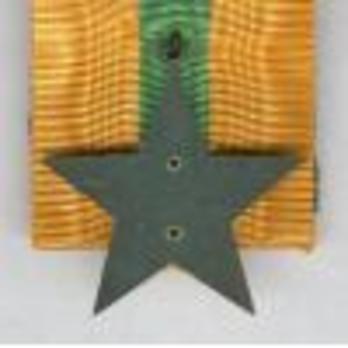 Bronze Star Reverse