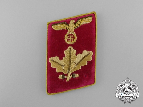 NSDAP Dienstleiter Type IV Reich Level Collar Tabs Obverse