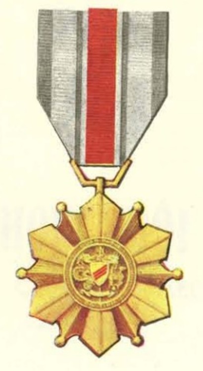 Rvn good conduct medal